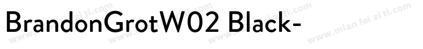 BrandonGrotW02 Black字体转换